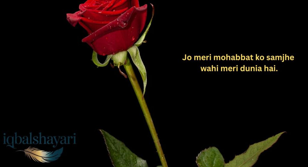 2 Line Love English Shayari
