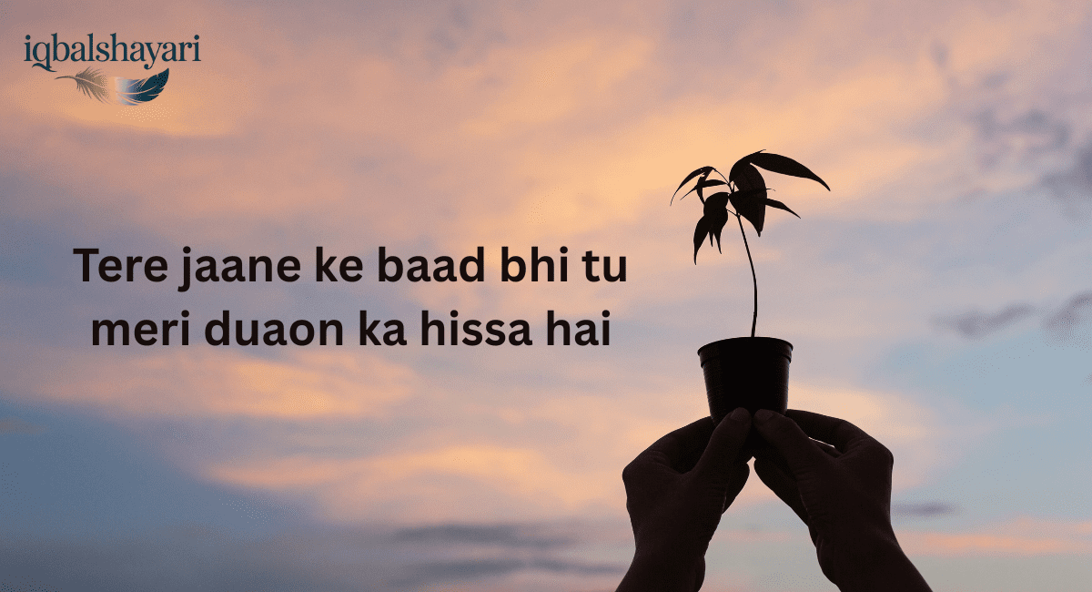 love shayari english