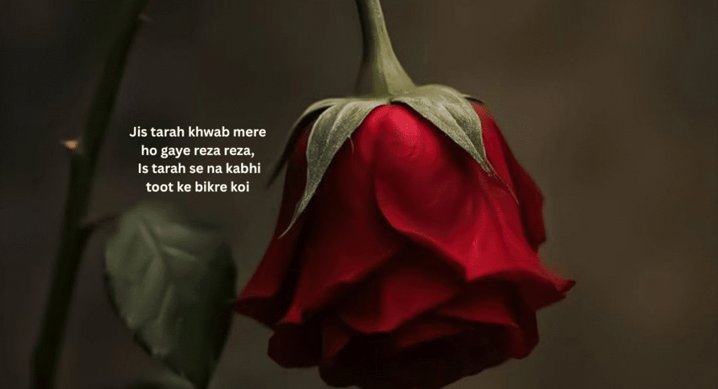 Sad urdu poetry by perveen shakir