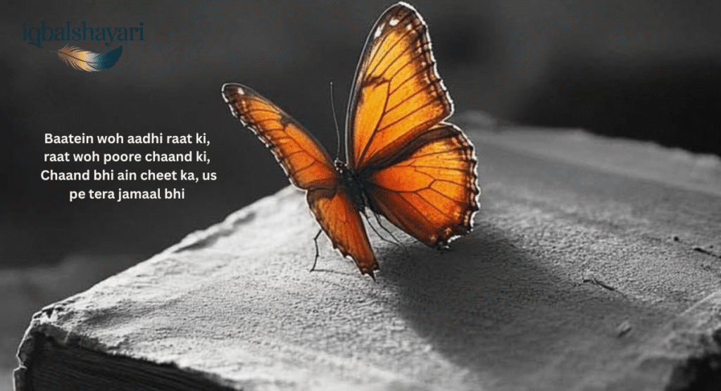 Shayari in English Language