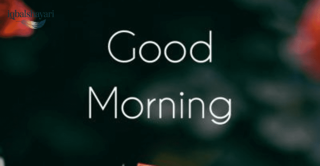 Urdu good morning quotes