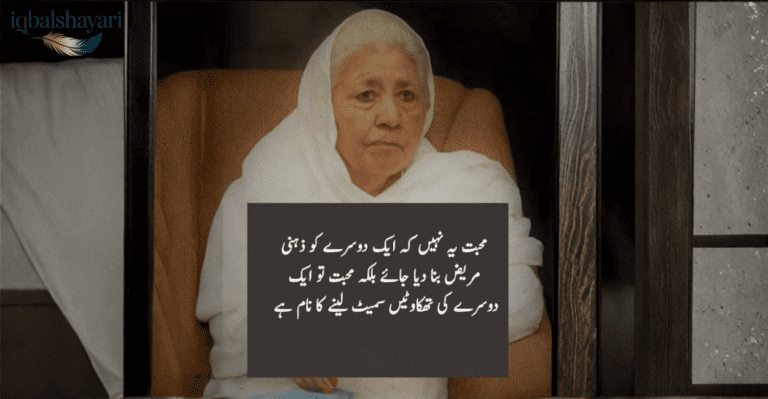 bano qudsia words